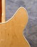 Rickenbacker 375/6 , Mapleglo: Free image2