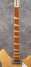 Rickenbacker 375/6 , Mapleglo: Neck - Front