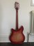 Rickenbacker 360/12 , Fireglo: Full Instrument - Rear