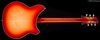 Rickenbacker 360/6 , Fireglo: Full Instrument - Rear