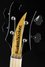 Rickenbacker 4003/4 SPC, Jetglo Pearlstar : Headstock