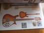 Rickenbacker 610/12 VP, Fireglo: Full Instrument - Front