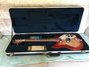 Rickenbacker 360/12 , Fireglo: Free image2