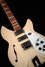 Rickenbacker 1993/12 Plus, Mapleglo: Close up - Free2