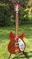 Rickenbacker 330/6 , Ruby: Full Instrument - Front