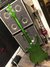 Rickenbacker 4003/4 Limited Edition, Candy Apple Green: Full Instrument - Rear