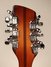 Rickenbacker 360/6 , Autumnglo: Headstock - Rear