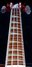 Rickenbacker 4003/4 , Fireglo: Neck - Front