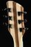 Rickenbacker 360/6 , Natural Walnut: Headstock - Rear