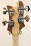 Rickenbacker 4003/4 , Natural Walnut: Headstock - Rear