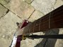 Rickenbacker 330/6 , Burgundy: Neck - Rear