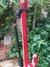 Rickenbacker 660/12 , Ruby: Neck - Rear