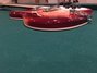 Rickenbacker 360/6 , Fireglo: Free image