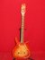 Rickenbacker 450/12 , Fireglo: Full Instrument - Front