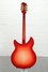 Rickenbacker 360/12 C63, Fireglo: Full Instrument - Rear