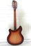 Rickenbacker 360/12 , Fireglo: Full Instrument - Rear