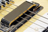 Rickenbacker 4003/4 , Mapleglo: Close up - Free2