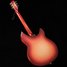 Rickenbacker 330/6 , Fireglo: Full Instrument - Rear