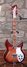 Rickenbacker 381/6 V69, Fireglo: Full Instrument - Front