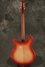 Rickenbacker 345/6 , Fireglo: Full Instrument - Rear