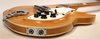 Rickenbacker 381/6 , Mapleglo: Close up - Free