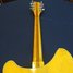 Rickenbacker 370/12 RM, Mapleglo: Neck - Rear