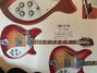 Rickenbacker 366/12 , Fireglo: Full Instrument - Front