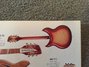 Rickenbacker 381/12 , Fireglo: Full Instrument - Rear