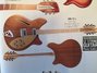 Rickenbacker 380/12 Prototype, Natural Walnut: Full Instrument - Rear