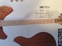 Rickenbacker 380/12 Prototype, Natural Walnut: Neck - Front