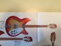 Rickenbacker 330/12 , Fireglo: Full Instrument - Front