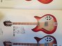 Rickenbacker 360/12 V64, Fireglo: Full Instrument - Front