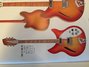 Rickenbacker 360/12 WB, Fireglo: Full Instrument - Front