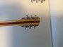 Rickenbacker 360/12 , Mapleglo: Headstock - Rear