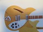 Rickenbacker 360/12 , Mapleglo: Body - Front