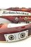 Rickenbacker 360/12 , Fireglo: Close up - Free