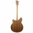 Rickenbacker 360/6 Mod, Natural Walnut: Full Instrument - Rear