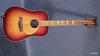 Rickenbacker 700/12 PW Build (acoustic), Fireglo: Full Instrument - Front