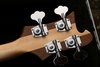 Rickenbacker 4003/4 AC Al Cisneros model, Natural Walnut: Headstock - Rear