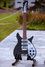 Rickenbacker 325/6 C64, Jetglo: Full Instrument - Front