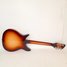 Rickenbacker 310/6 C64, MonteBrown: Full Instrument - Rear