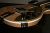 Rickenbacker 660/6 , Mapleglo: Close up - Free