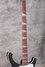 Rickenbacker 4003/4 , Matte Black: Neck - Front