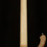 Rickenbacker 4003/4 , Natural Walnut: Neck - Rear