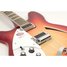 Rickenbacker 360/6 , Fireglo: Close up - Free2