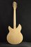 Rickenbacker 1993/12 Plus, Mapleglo: Full Instrument - Rear