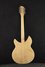 Rickenbacker 1993/12 Plus, Mapleglo: Full Instrument - Rear