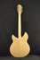 Rickenbacker 1993/12 Plus, Mapleglo: Full Instrument - Rear