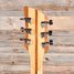 Rickenbacker 340/6 Mod, Mapleglo: Headstock - Rear