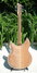 Rickenbacker 381/6 V69, Mapleglo: Full Instrument - Rear